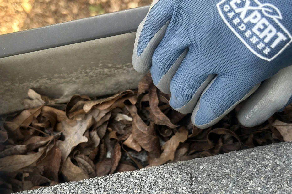 Gutter Cleaning Tavares FL