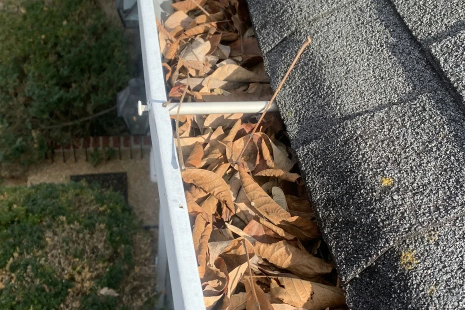 Gutter Cleaning Tavares FL