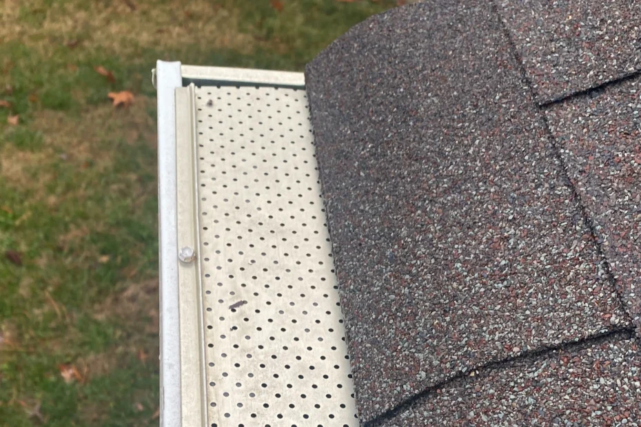 Gutter Cleaning Tavares FL