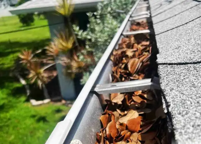 Gutter Cleaning Tavares FL home page